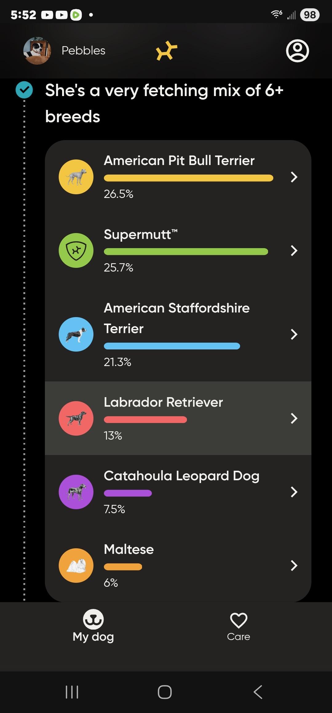 Enlarge Pebbles, a Adoptable mixed breed image 1/6