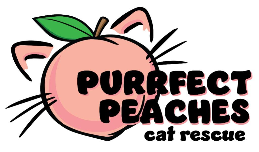 Enlarge Xav, a Adoptable mixed breed in Douglasville, GA image 5/5