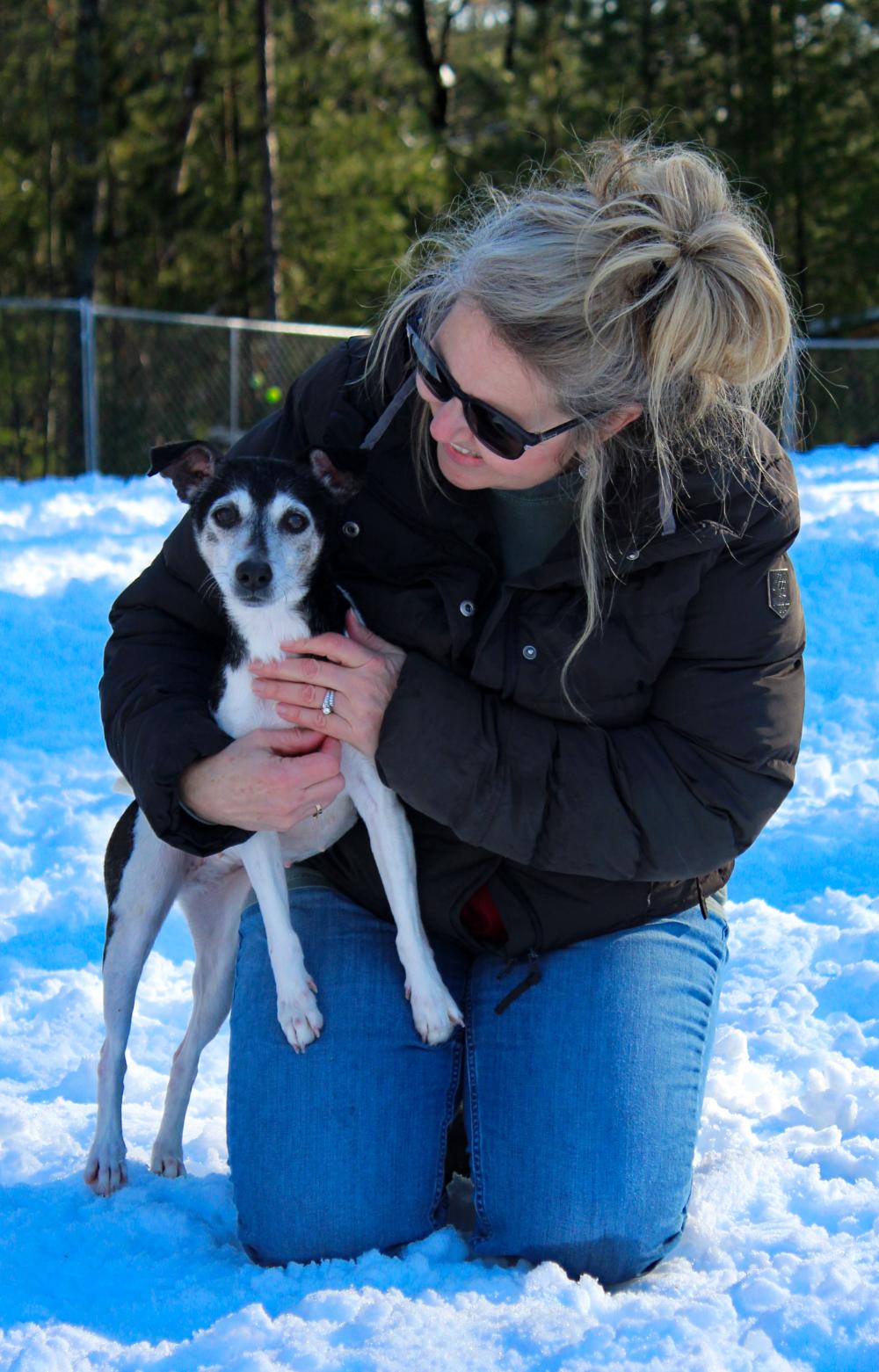 Snickers (Part of a bonded pair with Oreo), an adoptable Jack Russell Terrier in Cheboygan, MI image 6/6