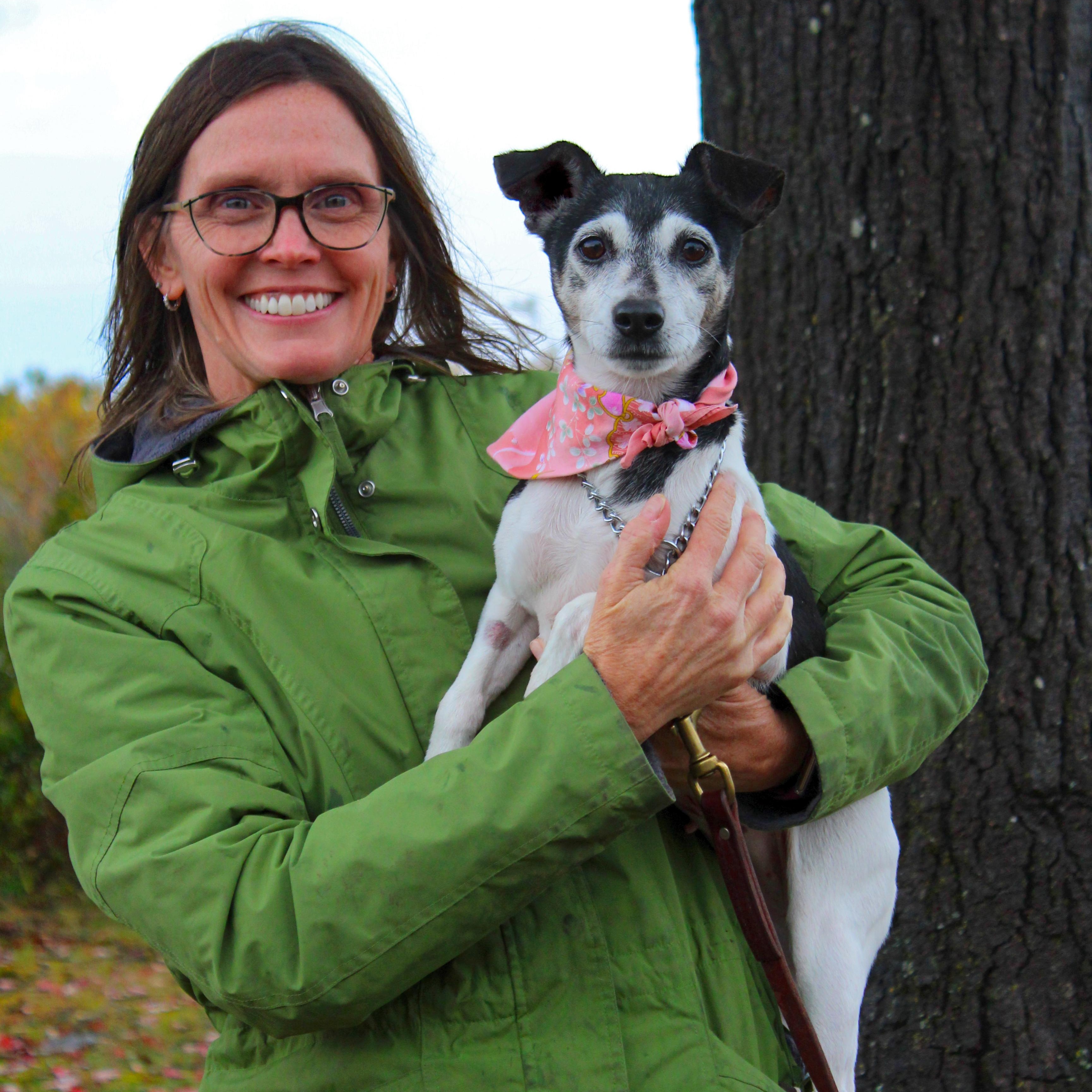 Snickers (Part of a bonded pair with Oreo), a Adoptable Jack Russell Terrier in Cheboygan, MI image 5/6