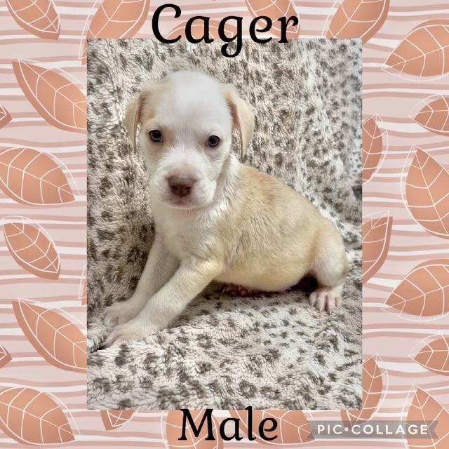 Cager