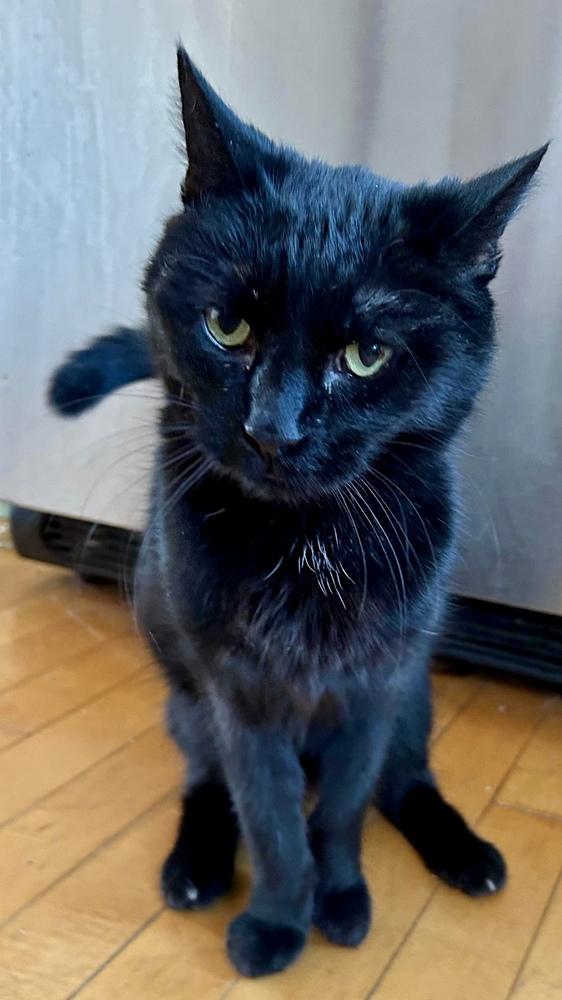 Ramona — thumbnail 2