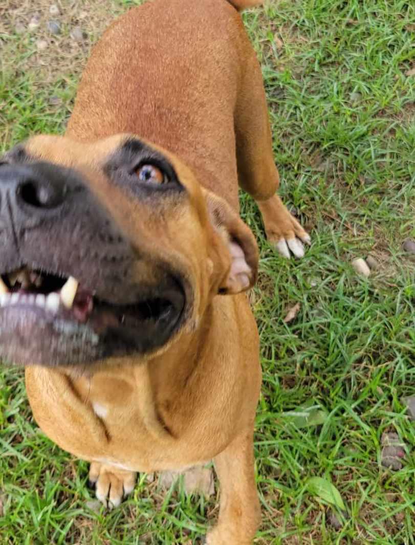 Addie — thumbnail 2