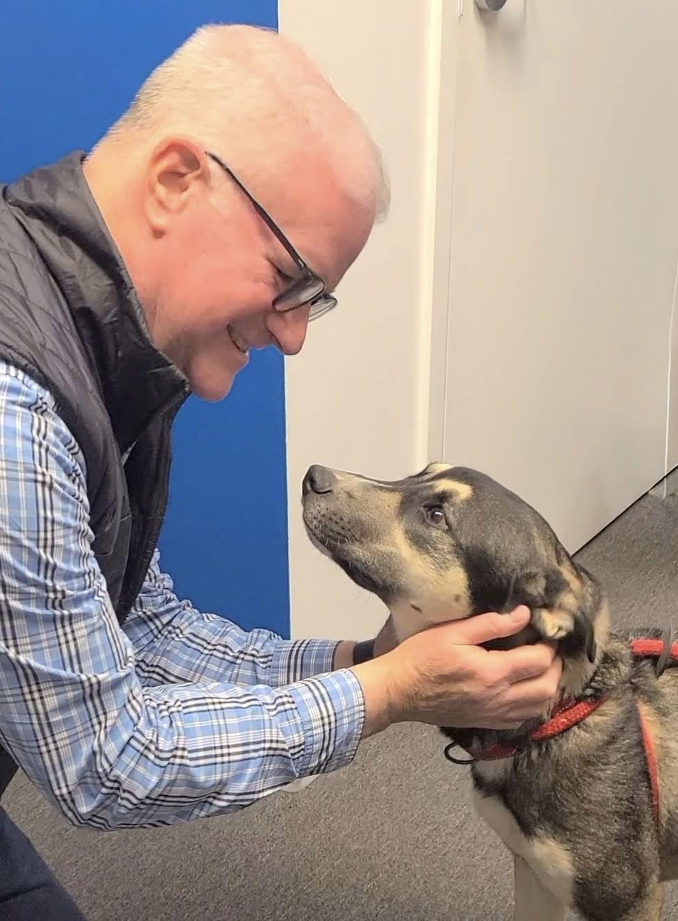 Wilbur, a Adoptable mixed breed in Spotsylvania, VA image 1/3