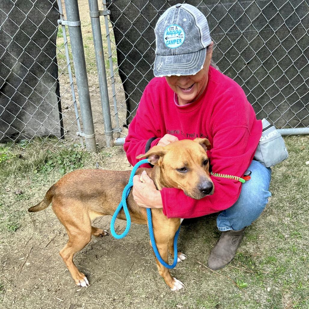 Brim 6818 — thumbnail 4