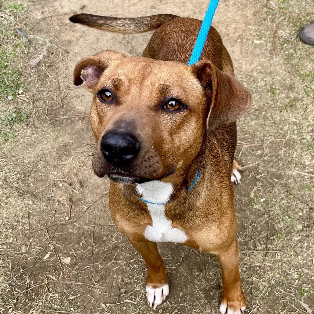 Brim 6818 — thumbnail 5