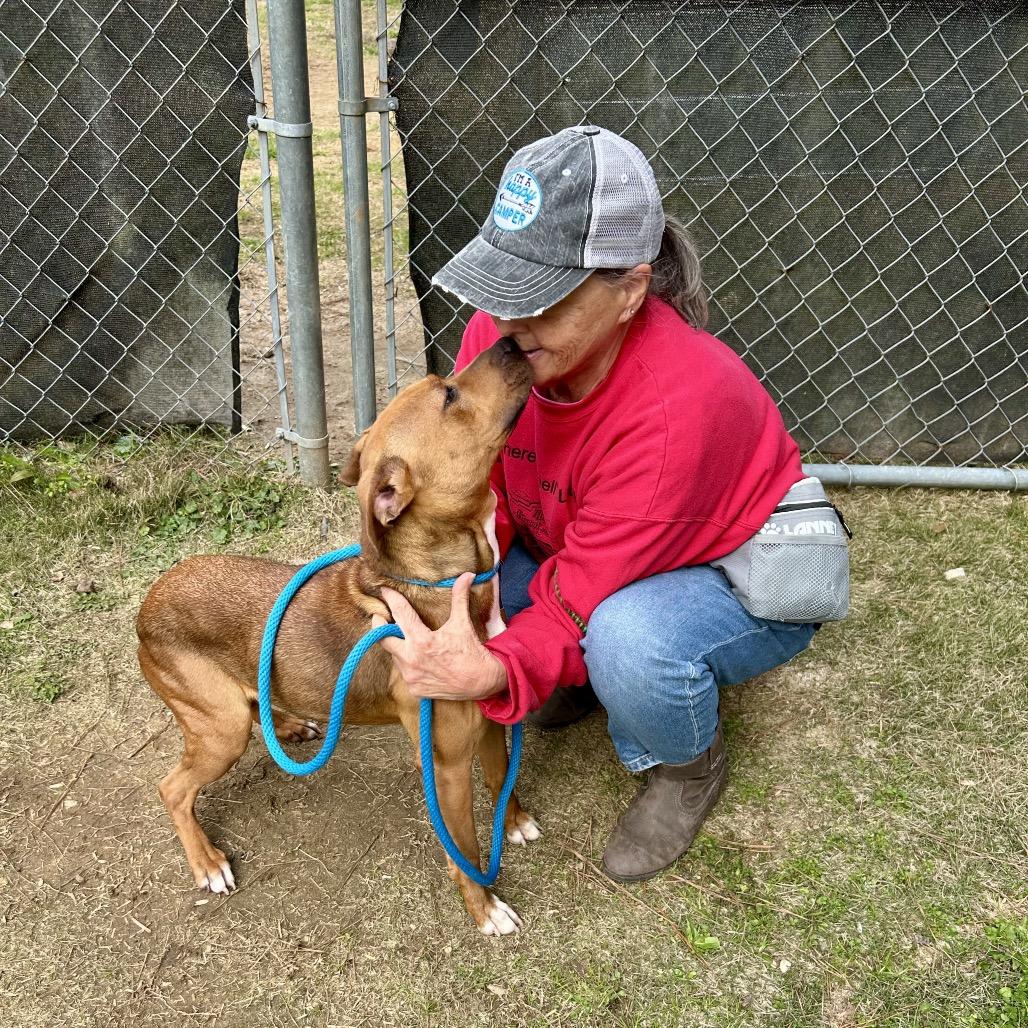 Brim 6818 — thumbnail 6