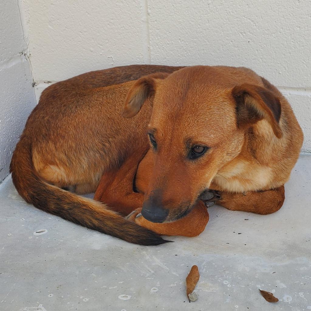 Pink Whitney thumbnail 2