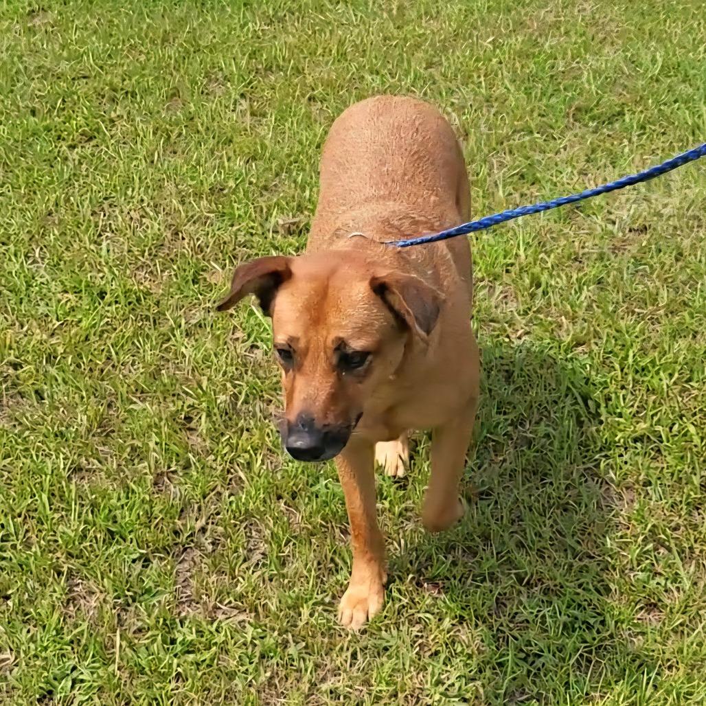 Pink Whitney thumbnail 3