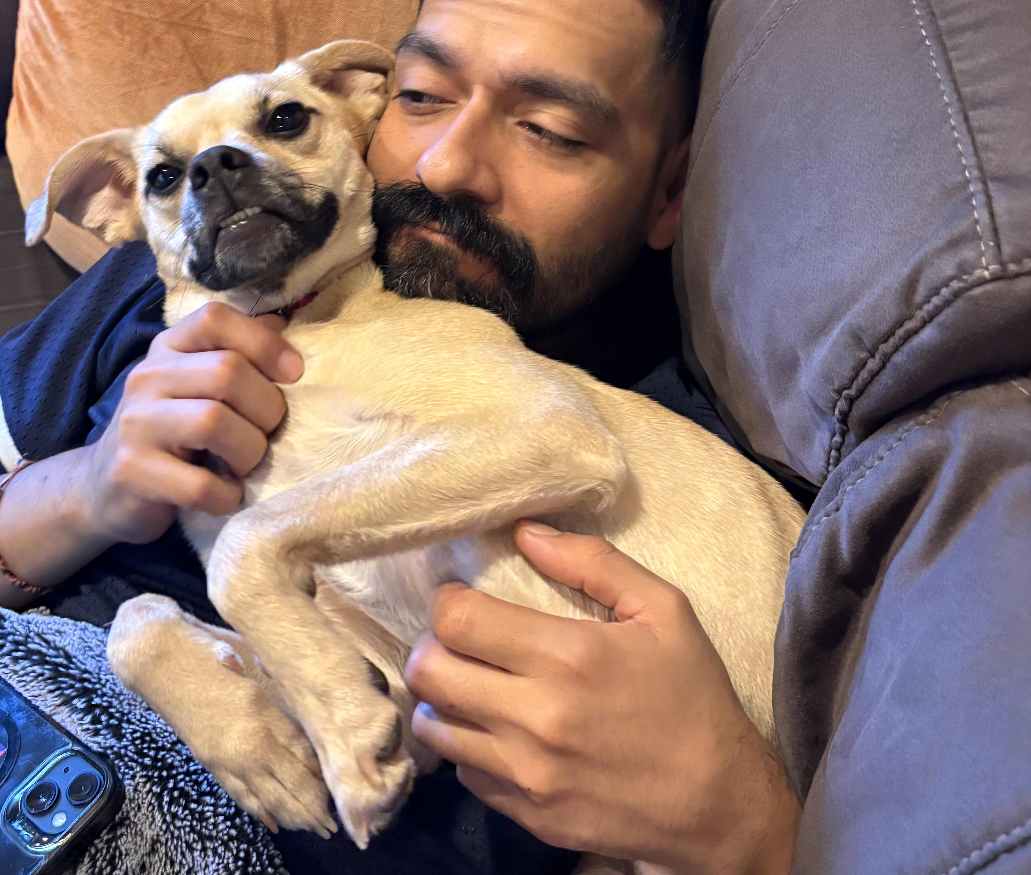 Enlarge Stali, a Adoptable mixed breed in Brooklyn, NY image 2/6
