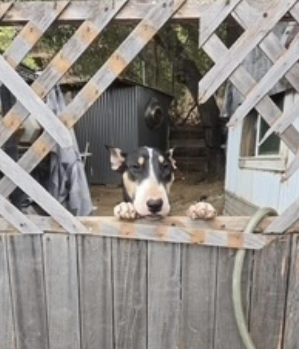 Zero — thumbnail 5