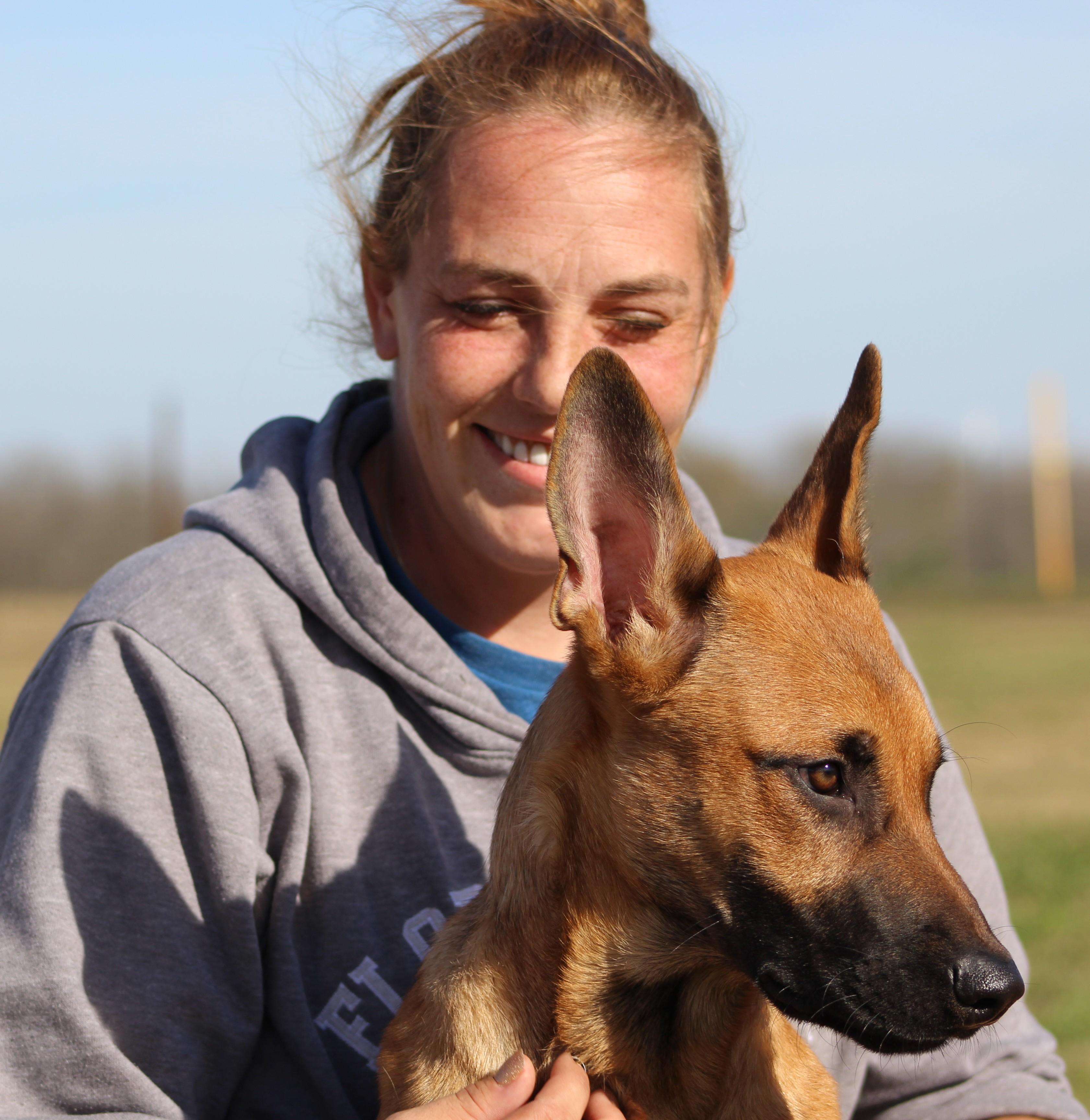 Enlarge Duck Duck Goose, a ADOPTABLE mixed breed in Temple, TX image 3/5