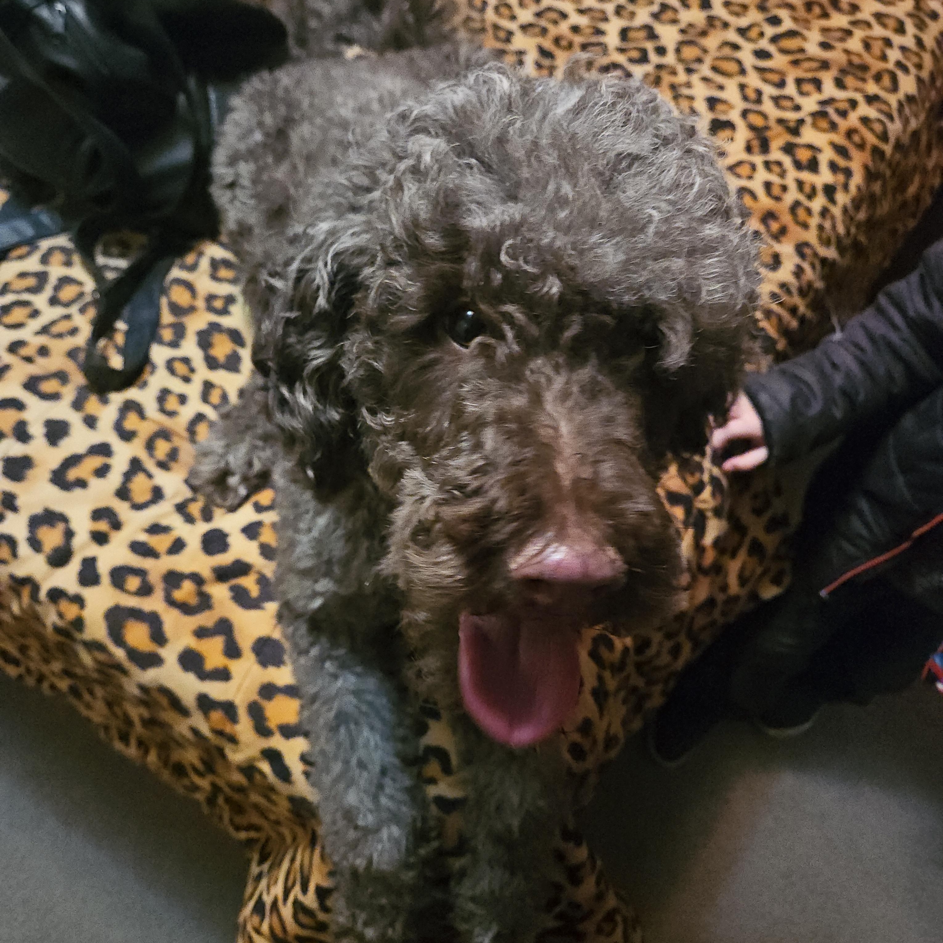 Sally — thumbnail 2