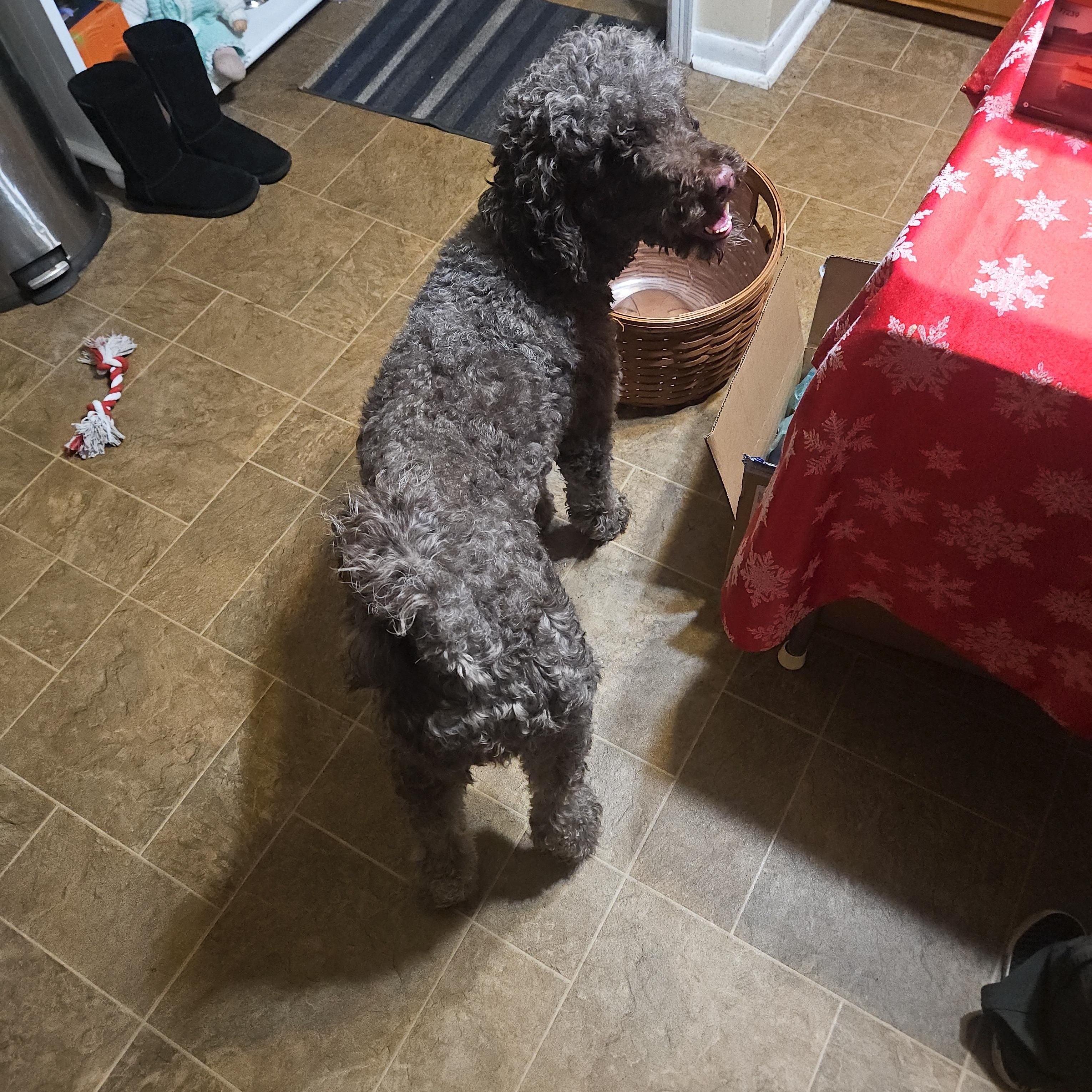 Sally — thumbnail 3