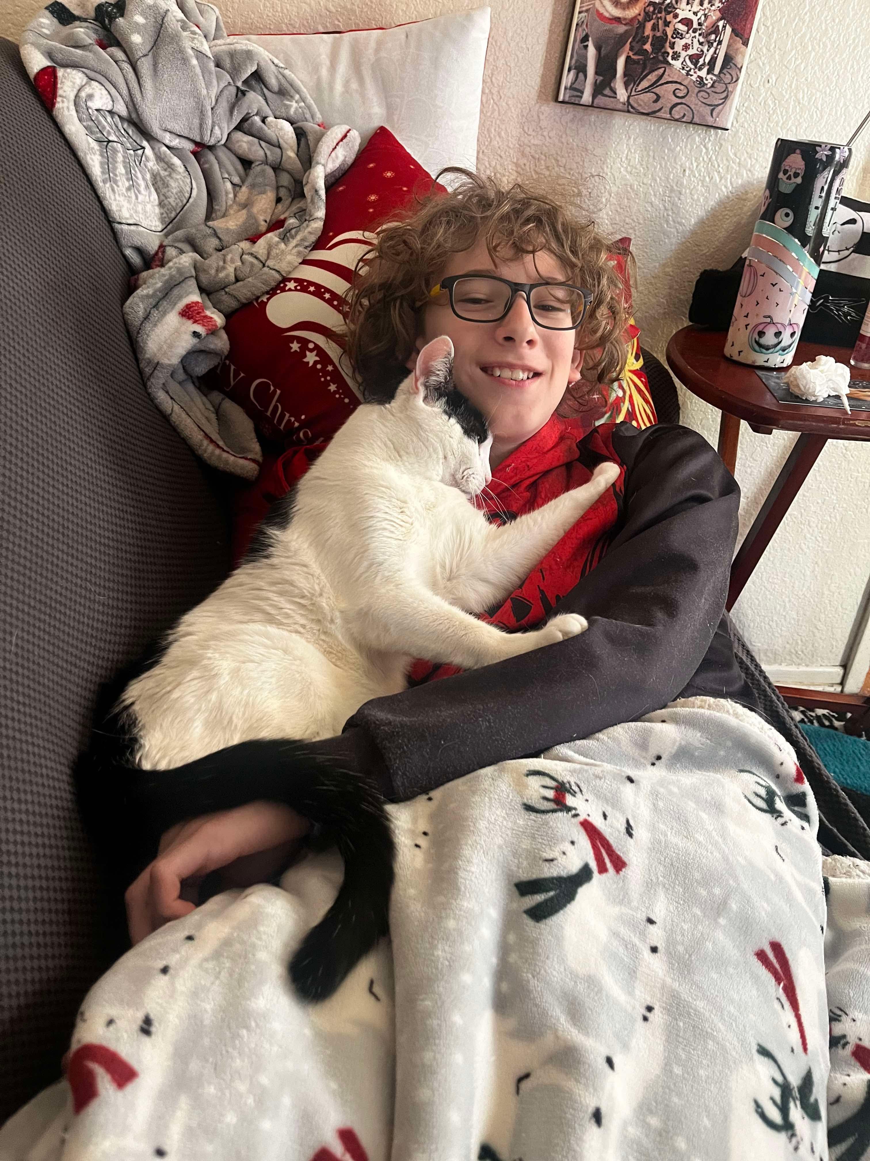 RAMEN GIRL, Adoptable, Young Female Tuxedo.