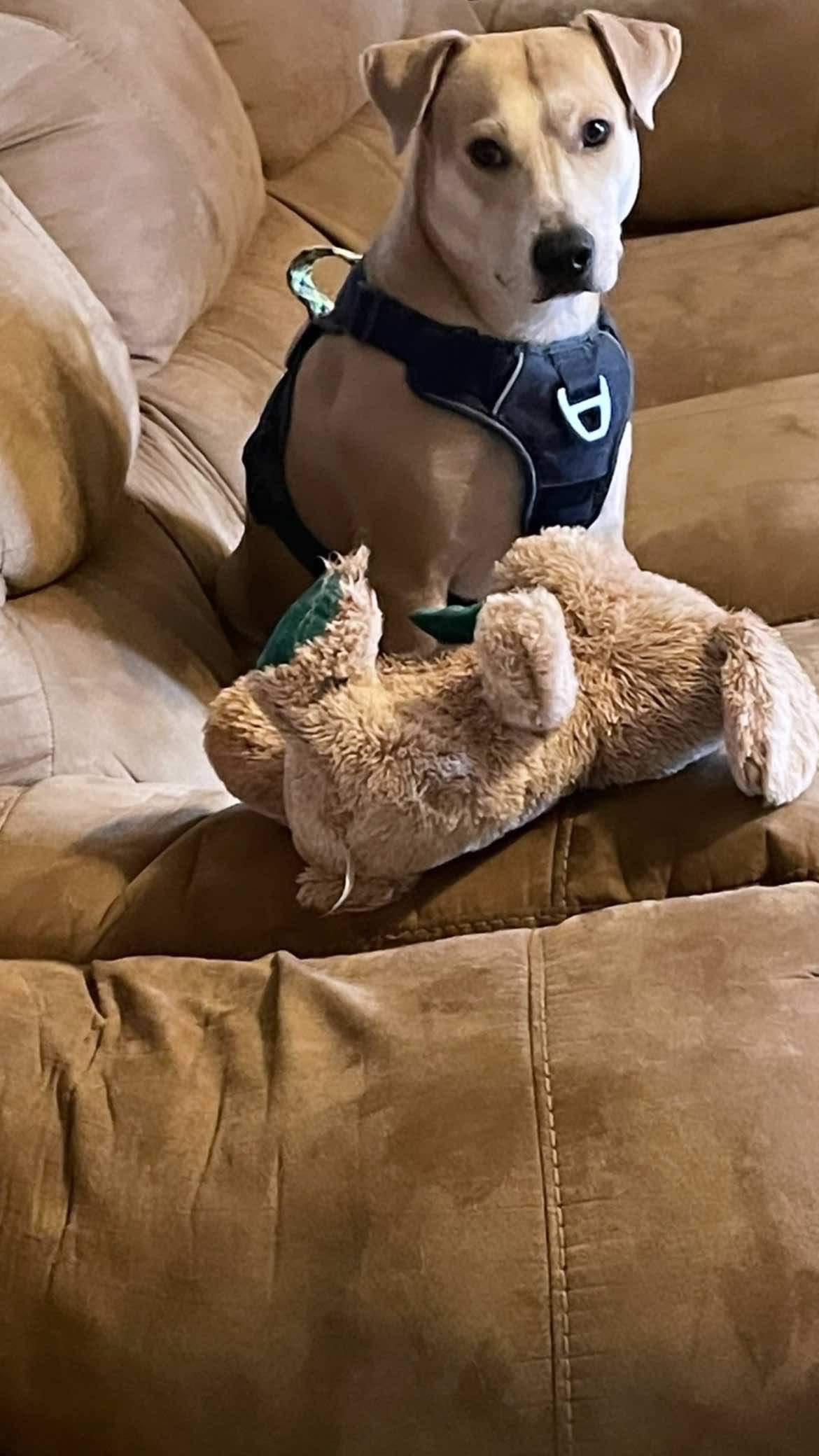 Logan