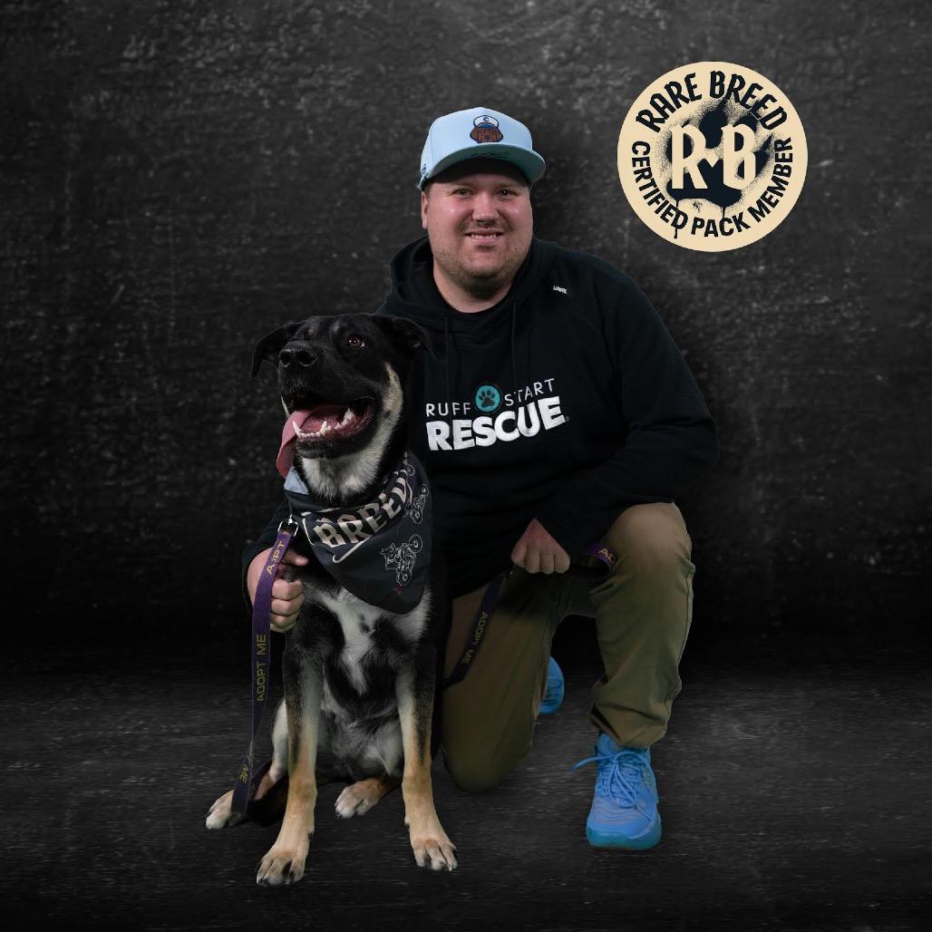 Enlarge Bailey D9656, a Adoptable mixed breed in Princeton, MN image 3/6