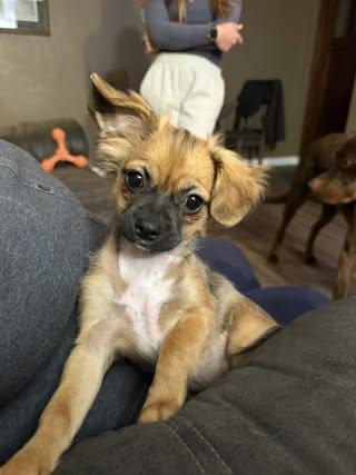 Blanche (was Lil Sister)