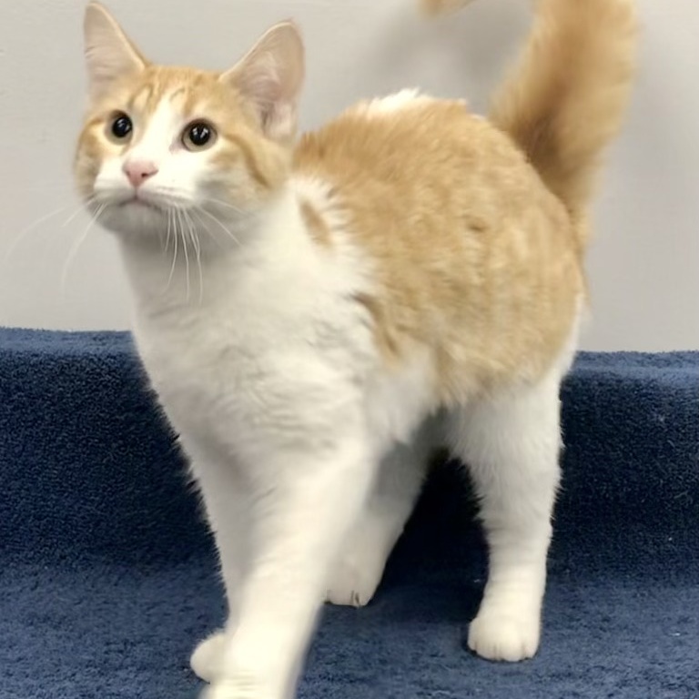 Eowyn — thumbnail 6