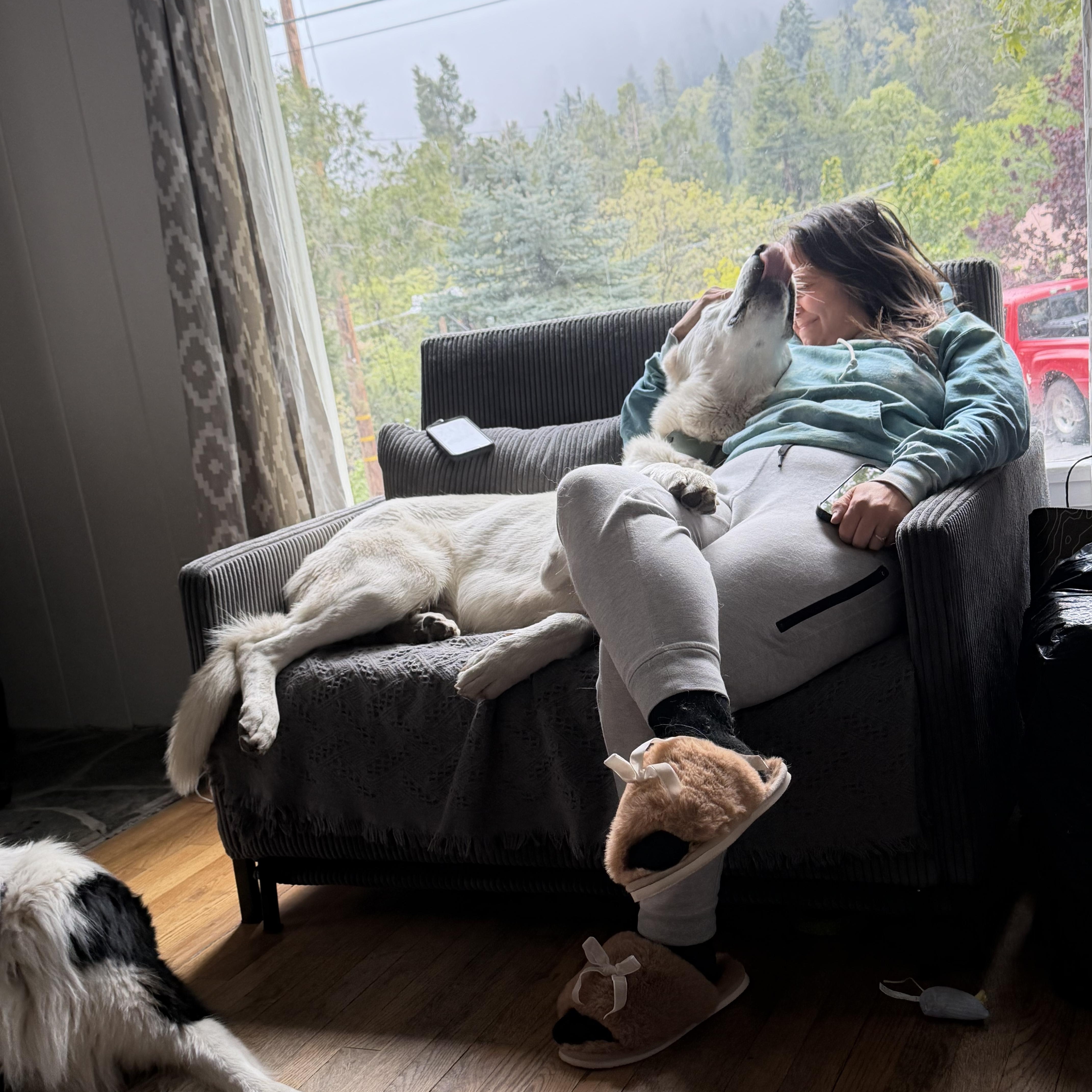 Diet Dr. Pepper, a ADOPTABLE Akbash in Lake Arrowhead, CA image 5/6