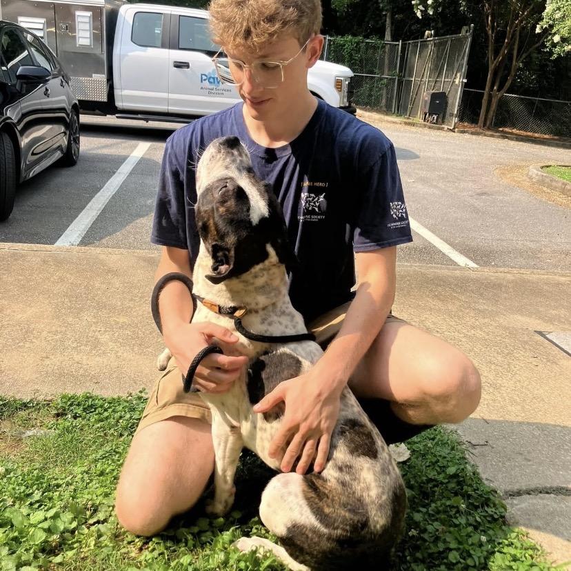 Enlarge Enzo 6827, a Adoptable Mixed Breed in Columbus, GA image 1/6