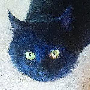 Isaac, a Adoptable Domestic Medium Hair in Tiburon, CA image 2/3