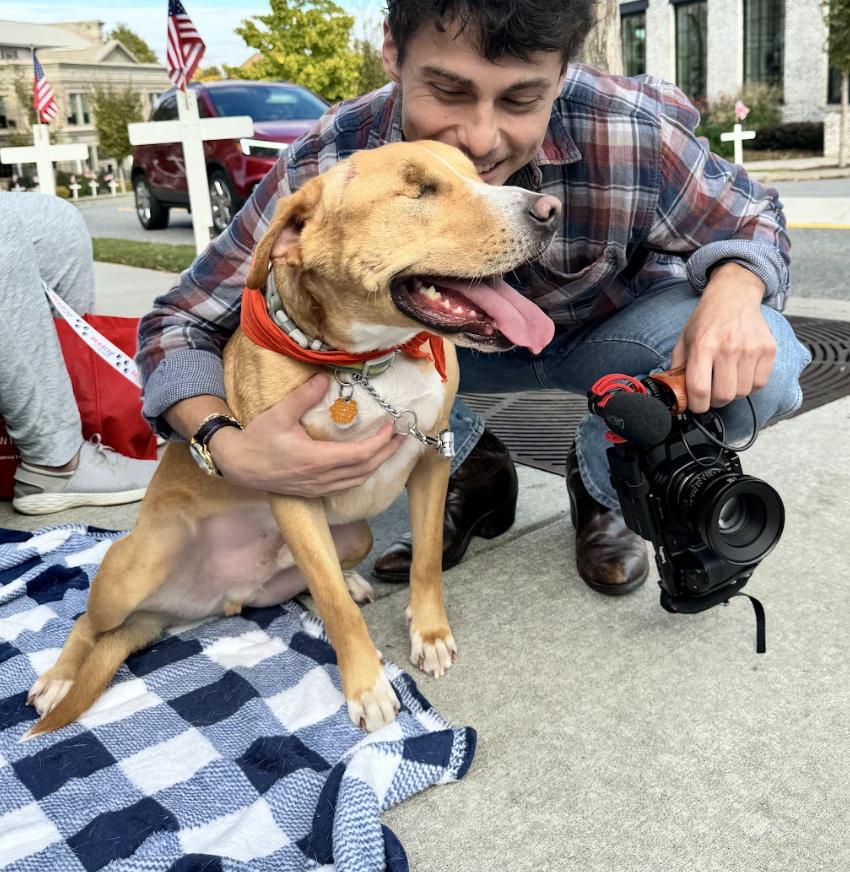 Charlie, a Adoptable Mixed Breed in Roswell, GA image 5/5