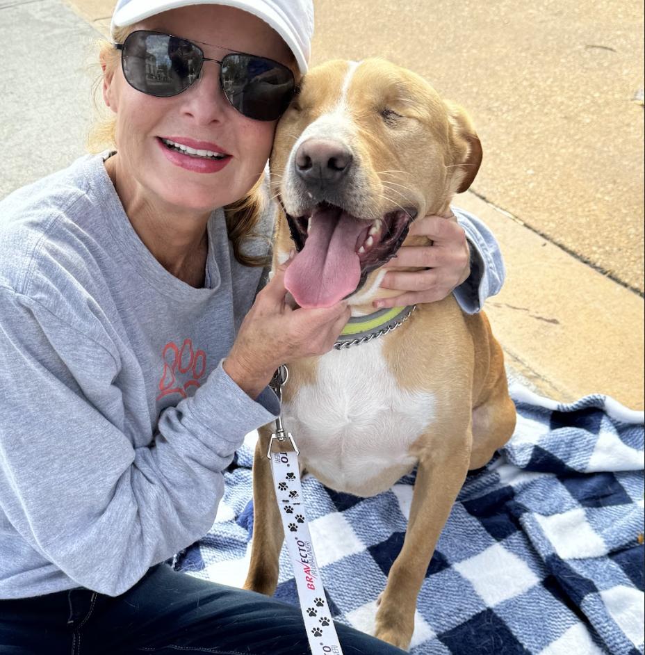 Charlie, a Adoptable Mixed Breed in Roswell, GA image 4/5