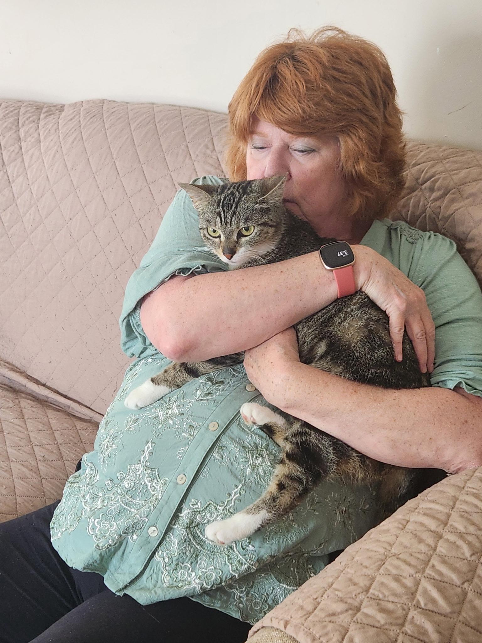 Sally, an adopted Domestic Short Hair in Cleveland, OH image 4/6