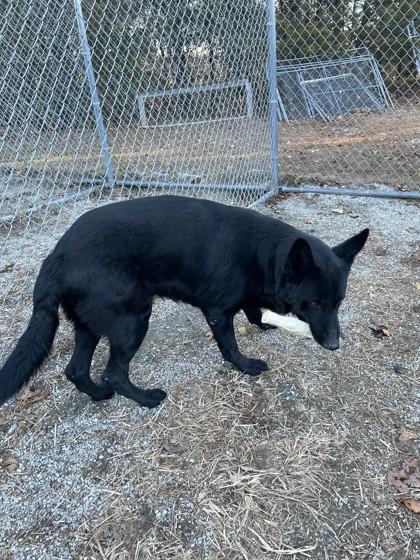 John — thumbnail 2