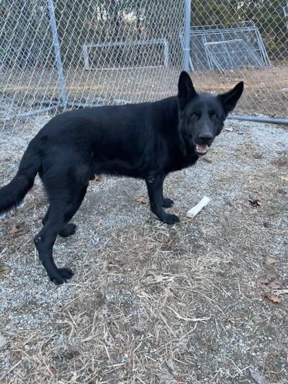 John — thumbnail 3