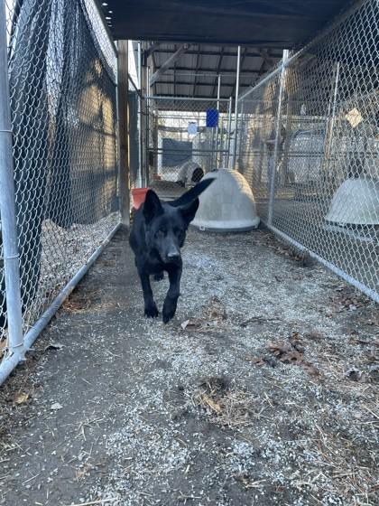 John — thumbnail 5