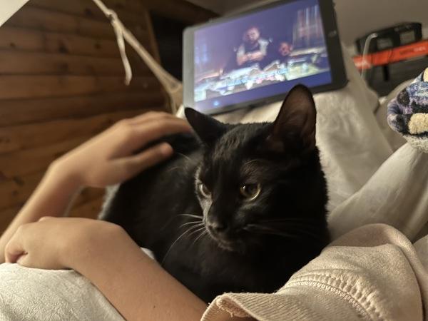 Puppy — thumbnail 3