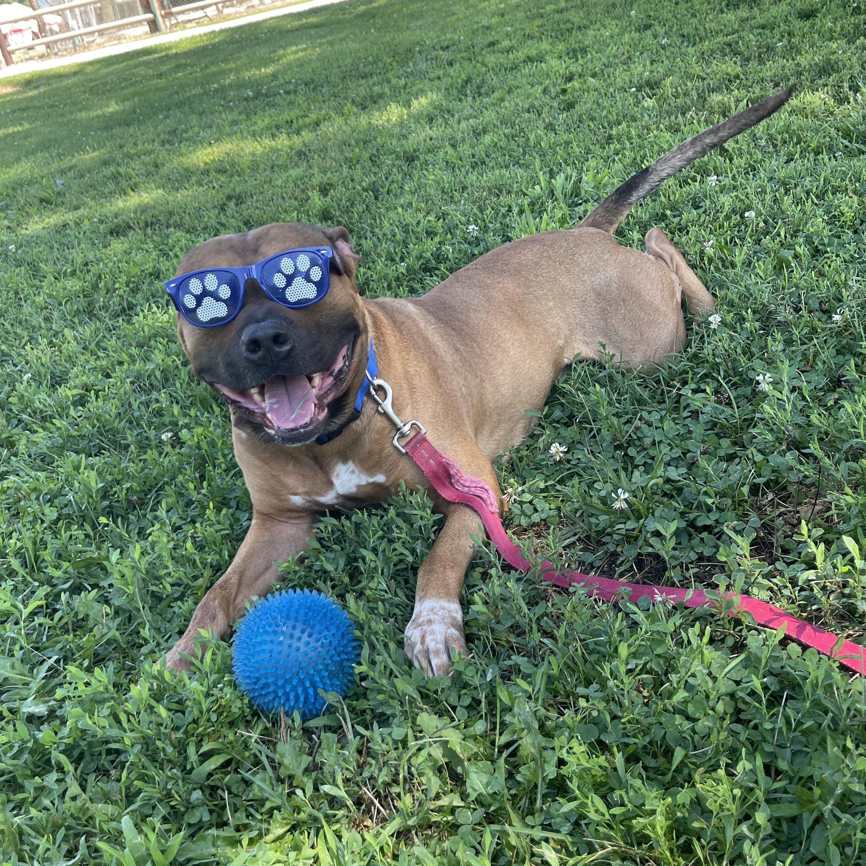 Bruno
