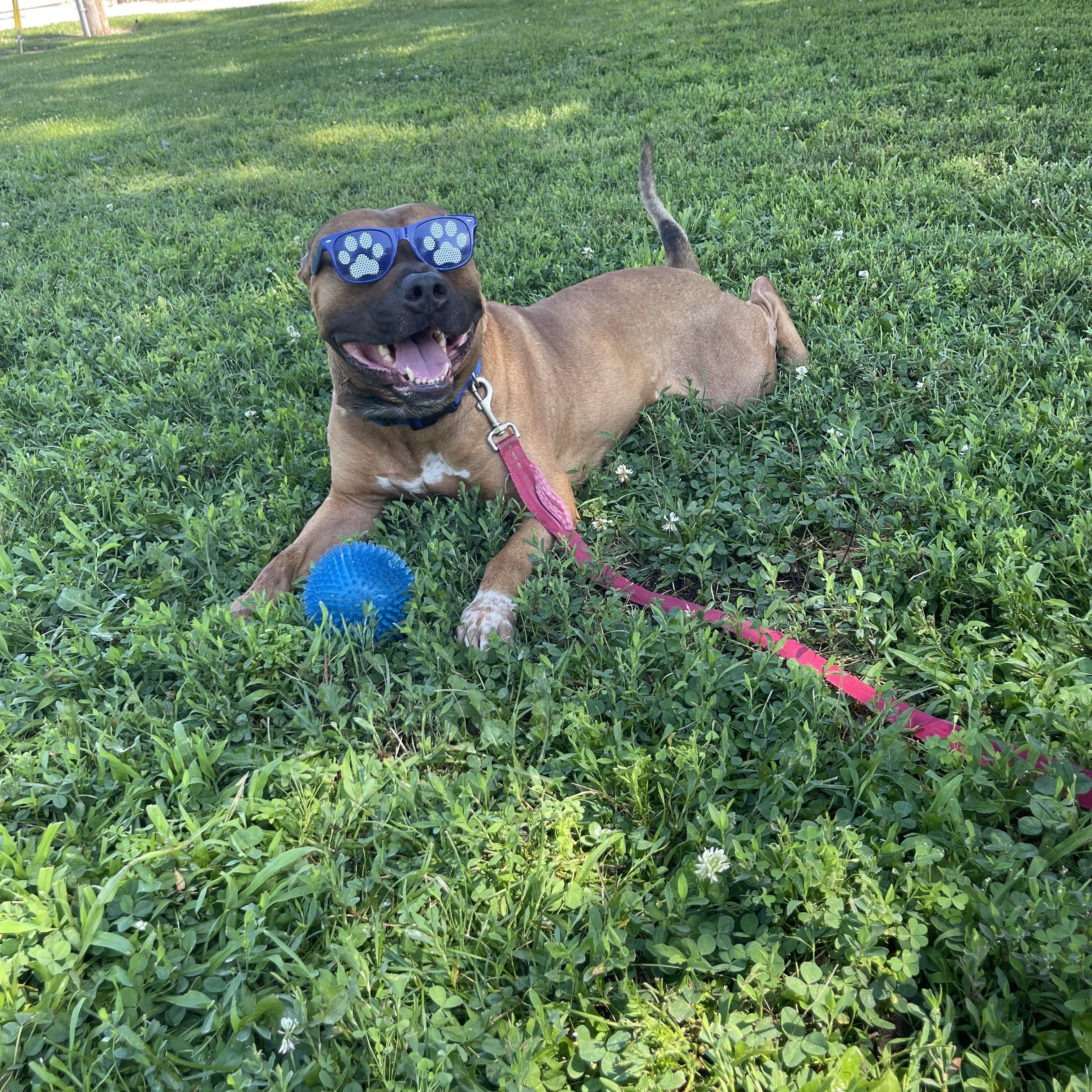 Bruno photo 2