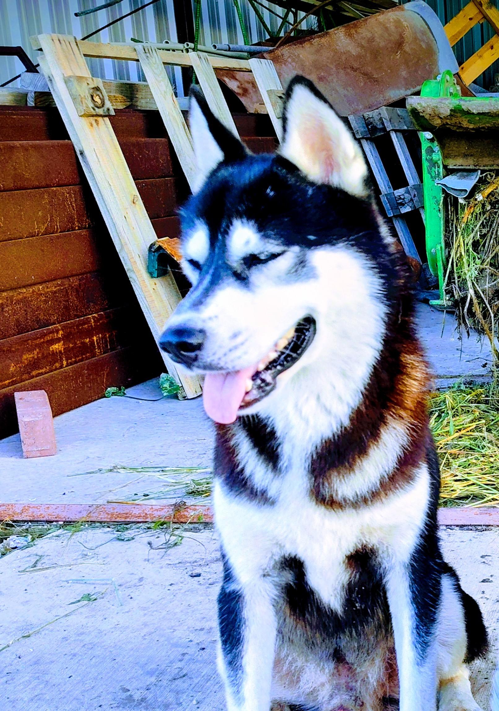 Jake