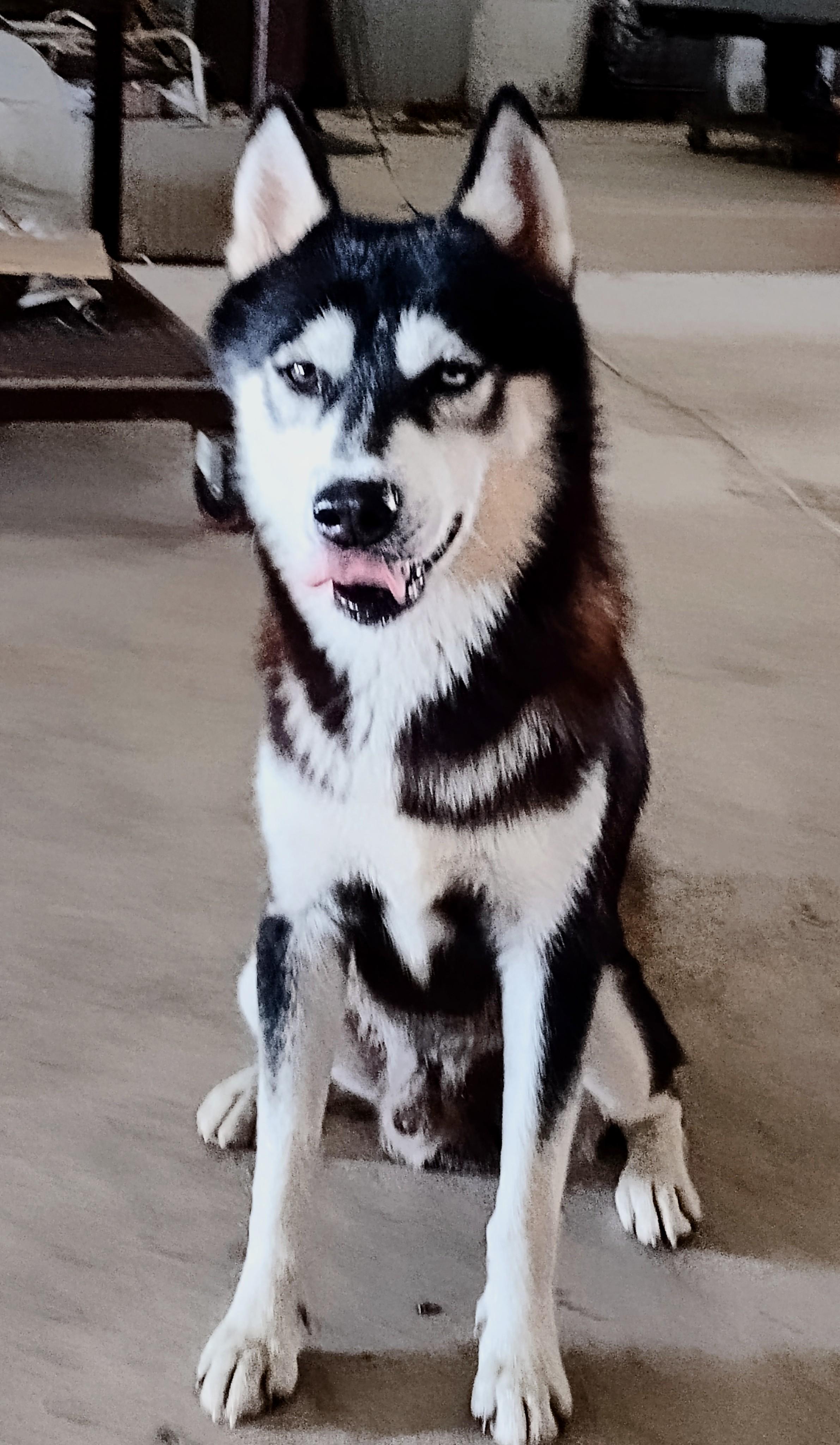 Jake