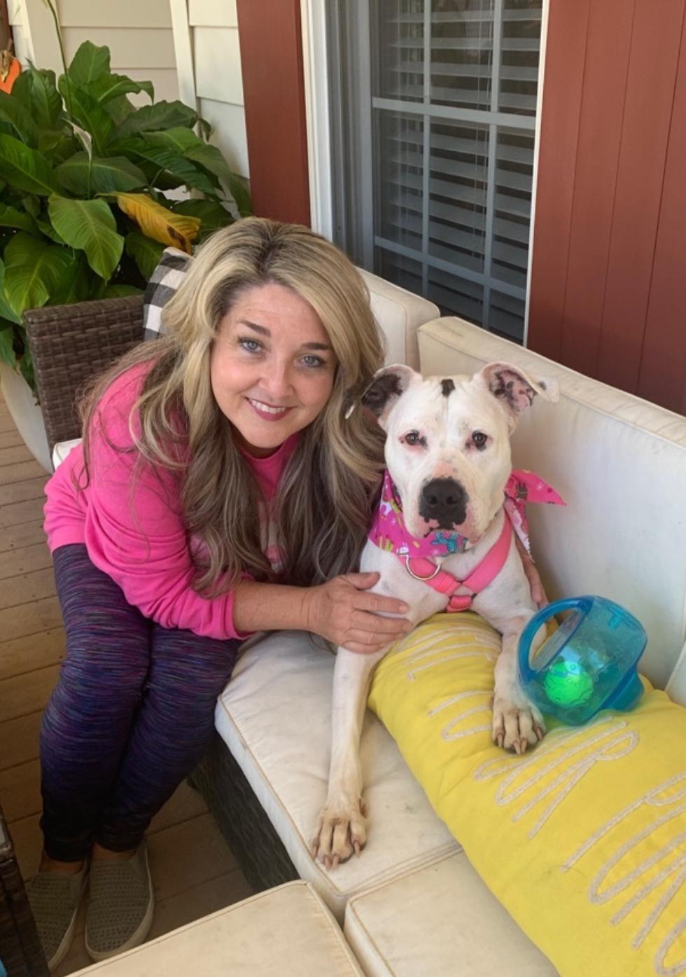 Willa, a Adoptable mixed breed in Kings Mountain, NC image 1/5