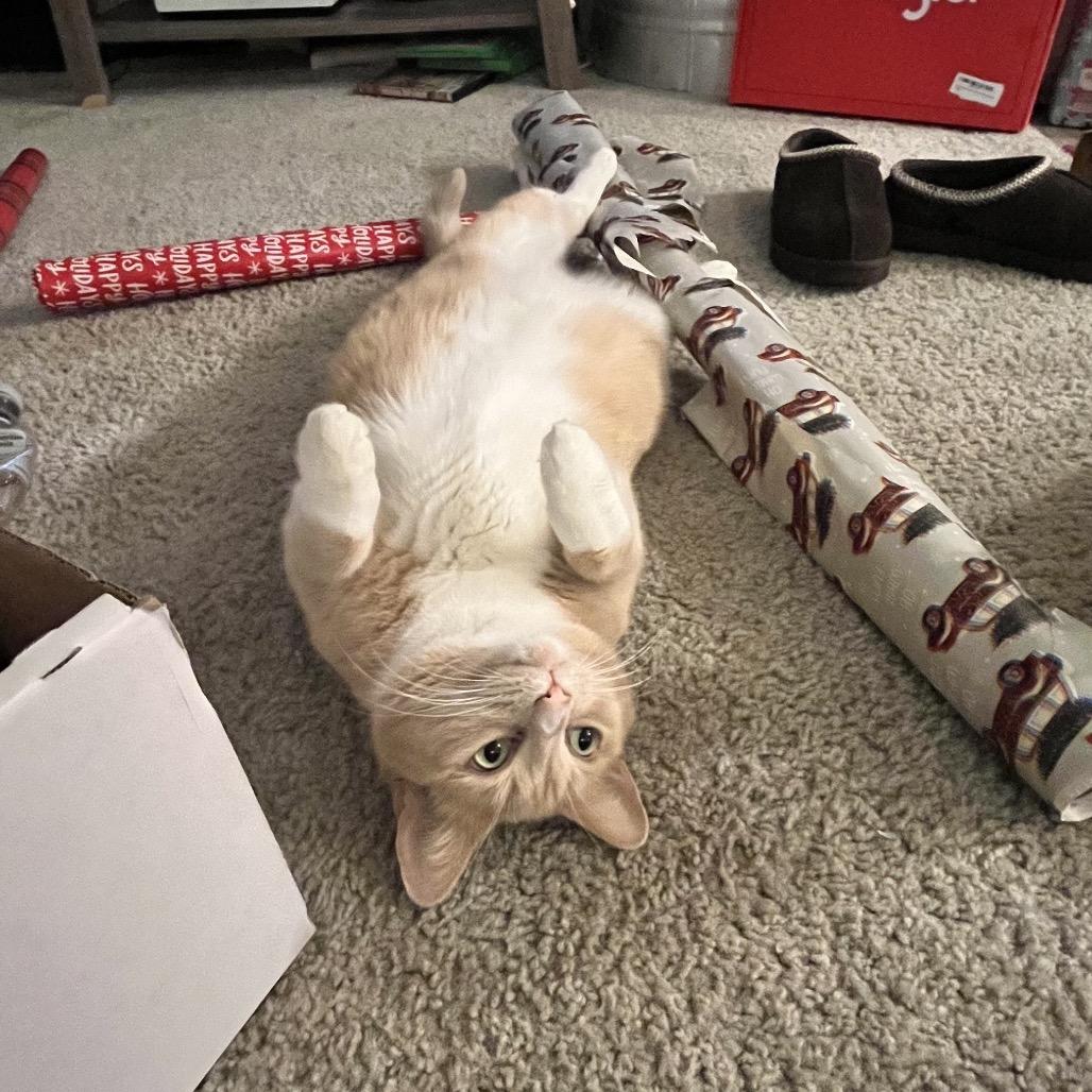 Peppa — thumbnail 2