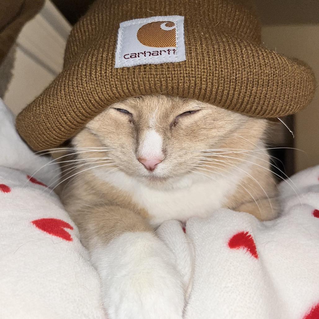 Peppa — thumbnail 3