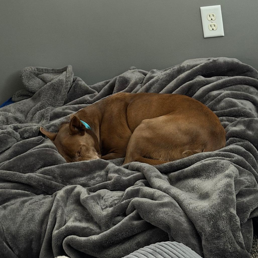 Kelli Bear D thumbnail 2