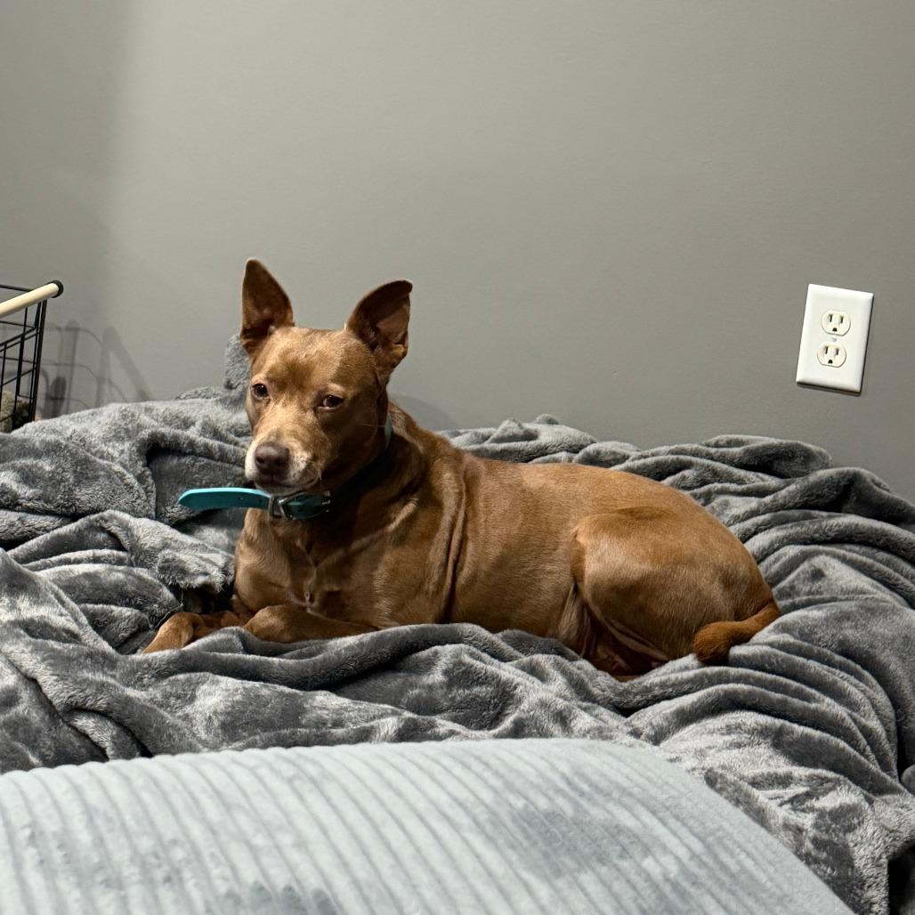 Kelli Bear D thumbnail 3