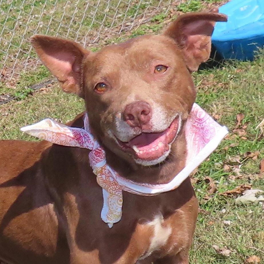 Kelli Bear D thumbnail 4