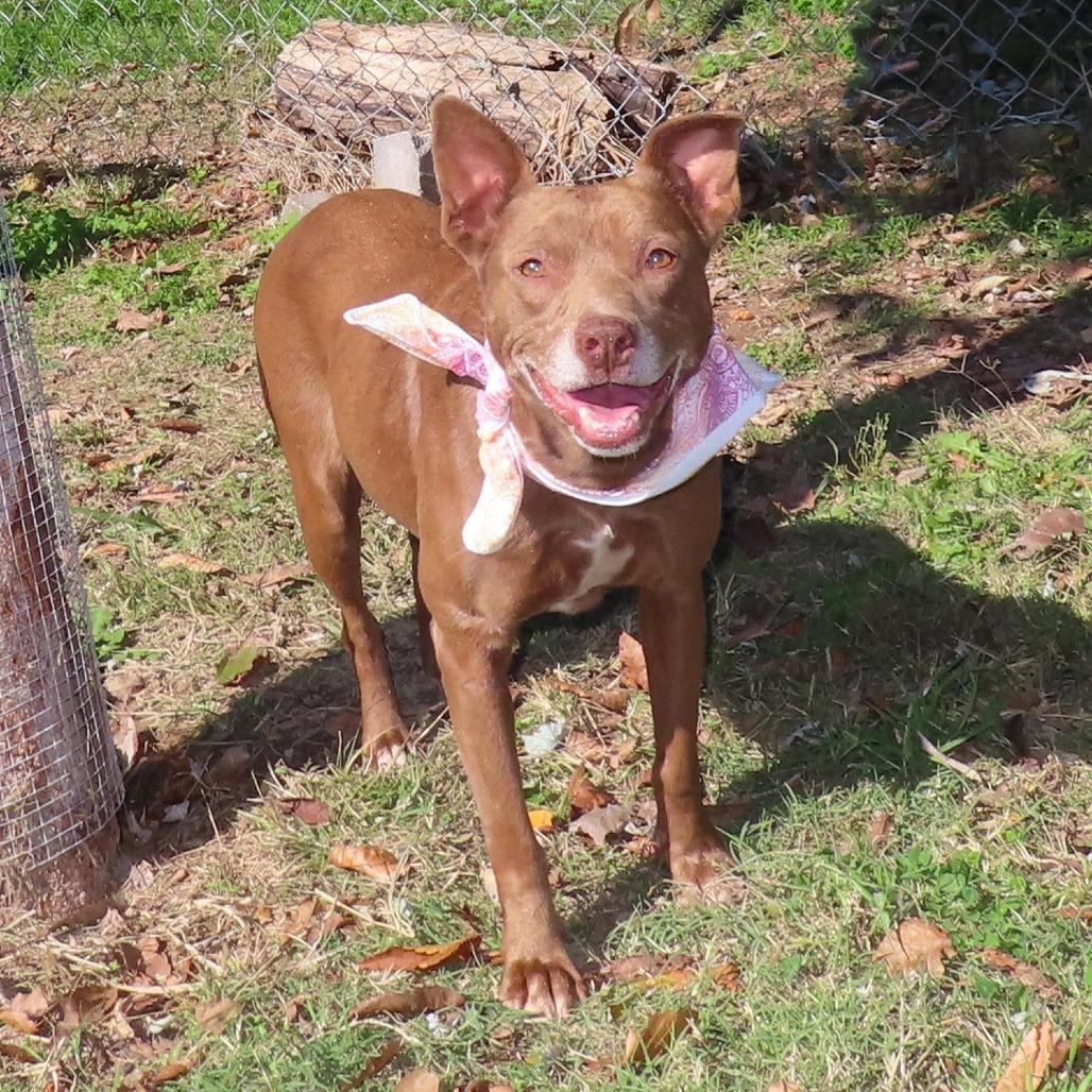 Kelli Bear D thumbnail 6