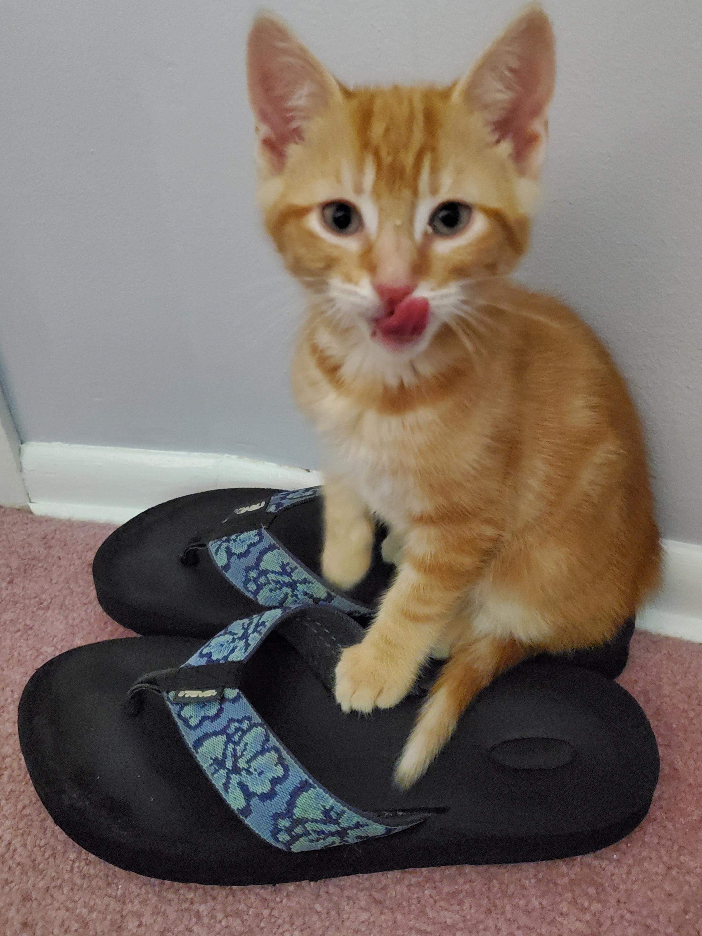 MANGO (& MOLLY) photo 3