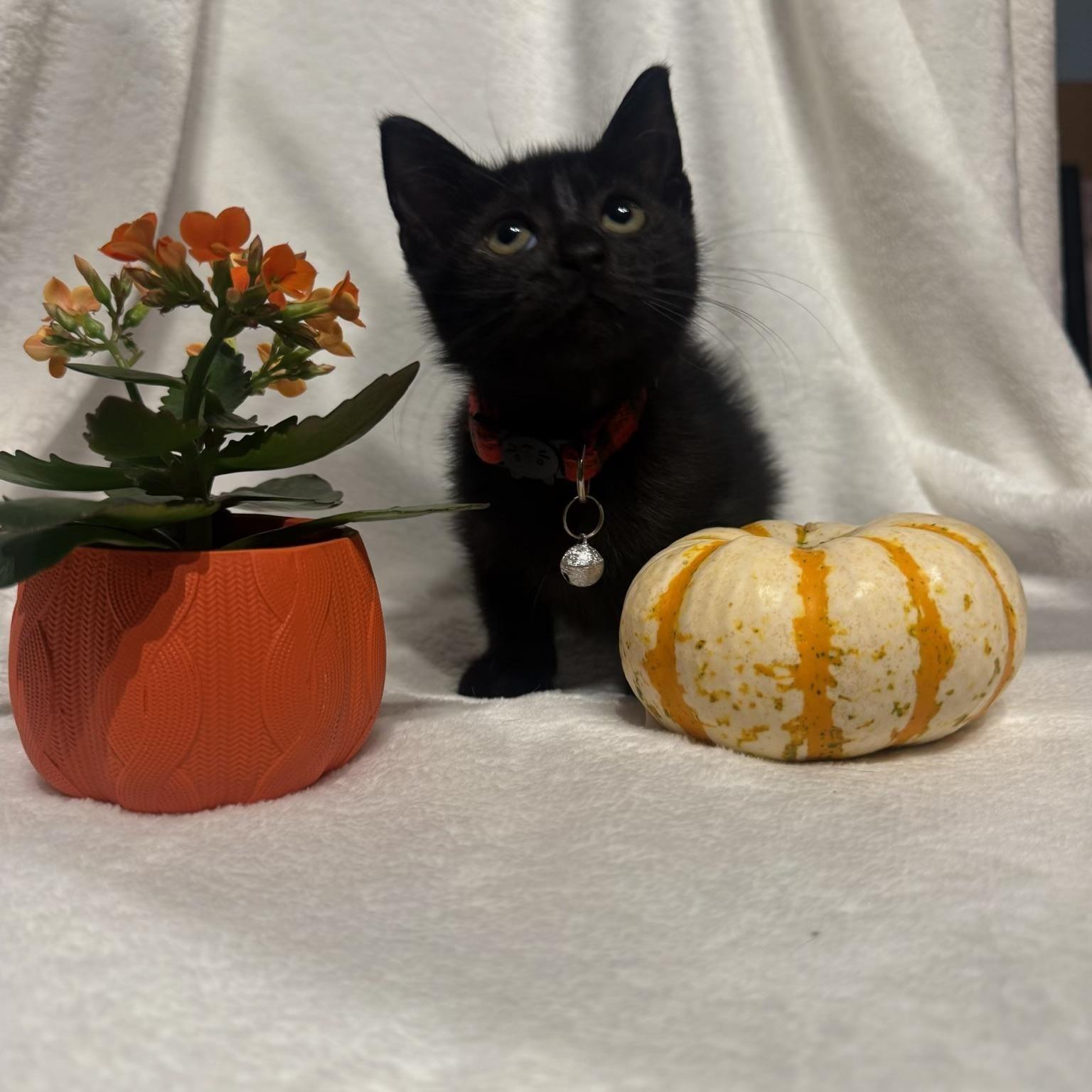 Jenny & Paula BONDED