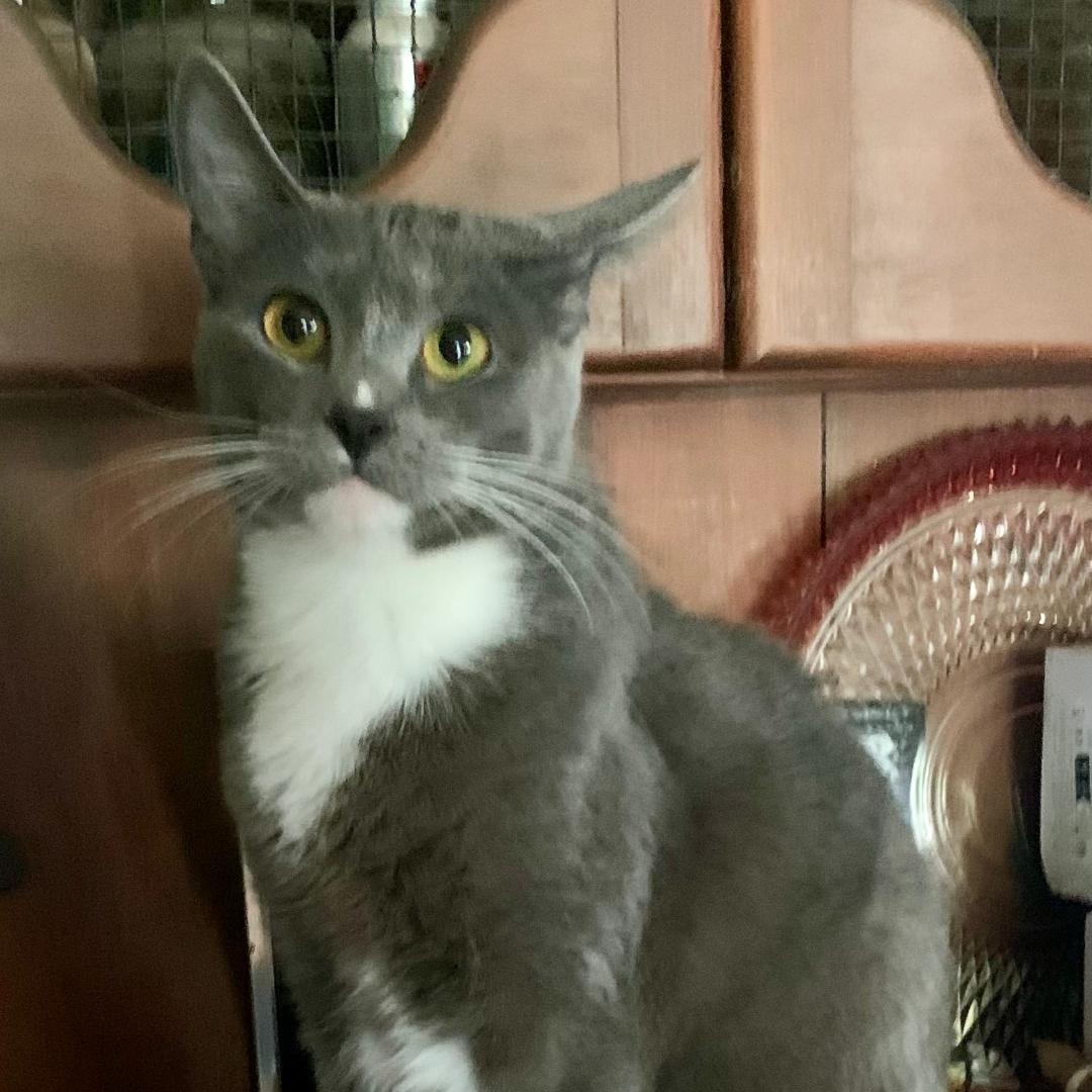 Sophie