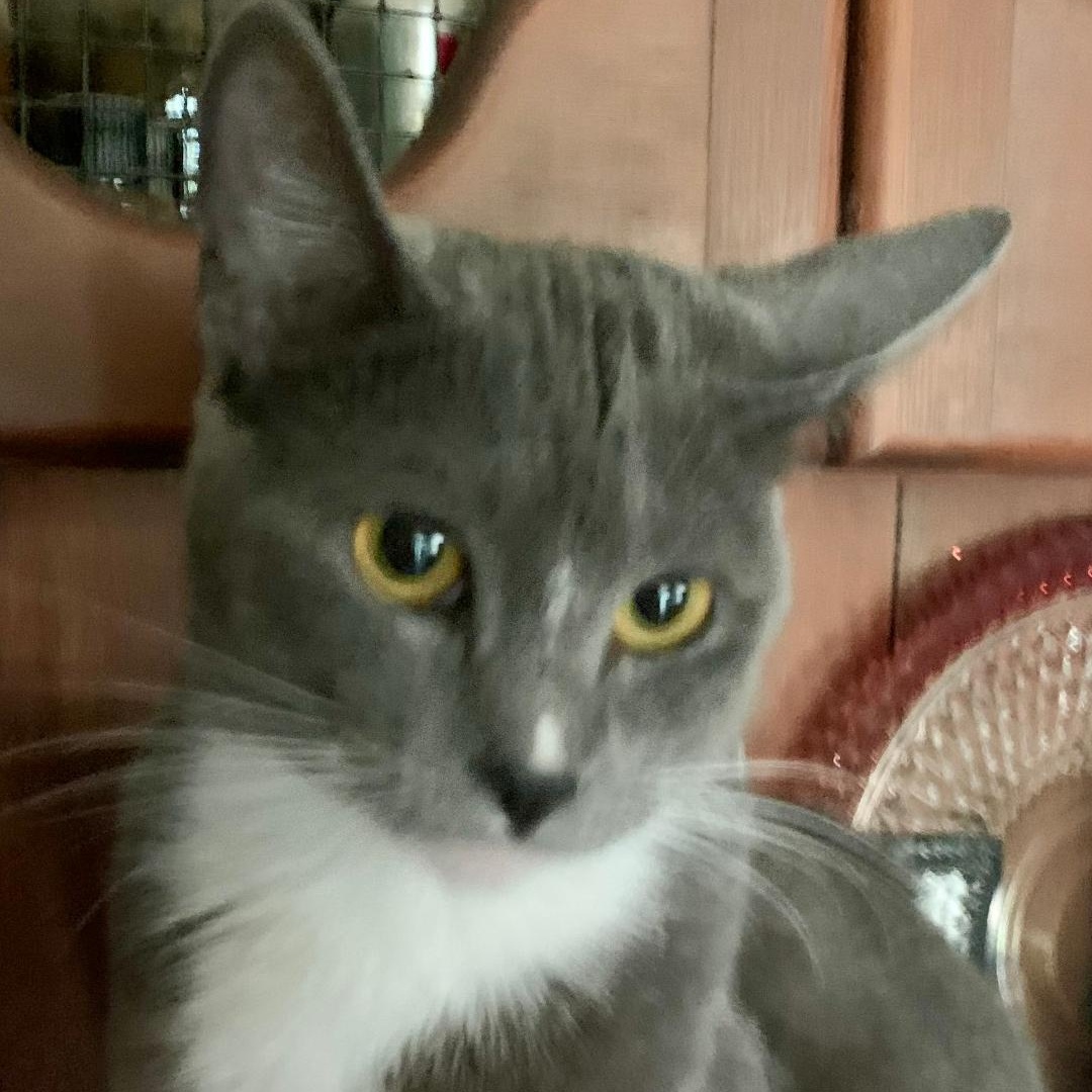 Sophie photo 3