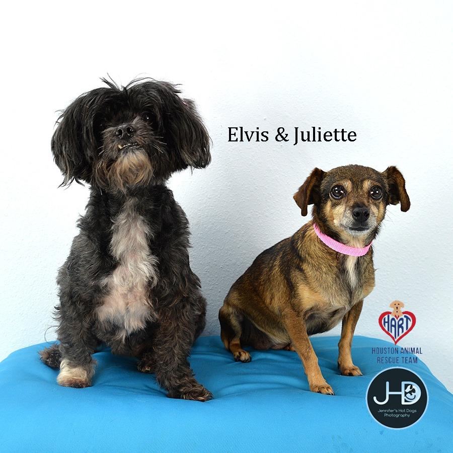 Juliette — thumbnail 3