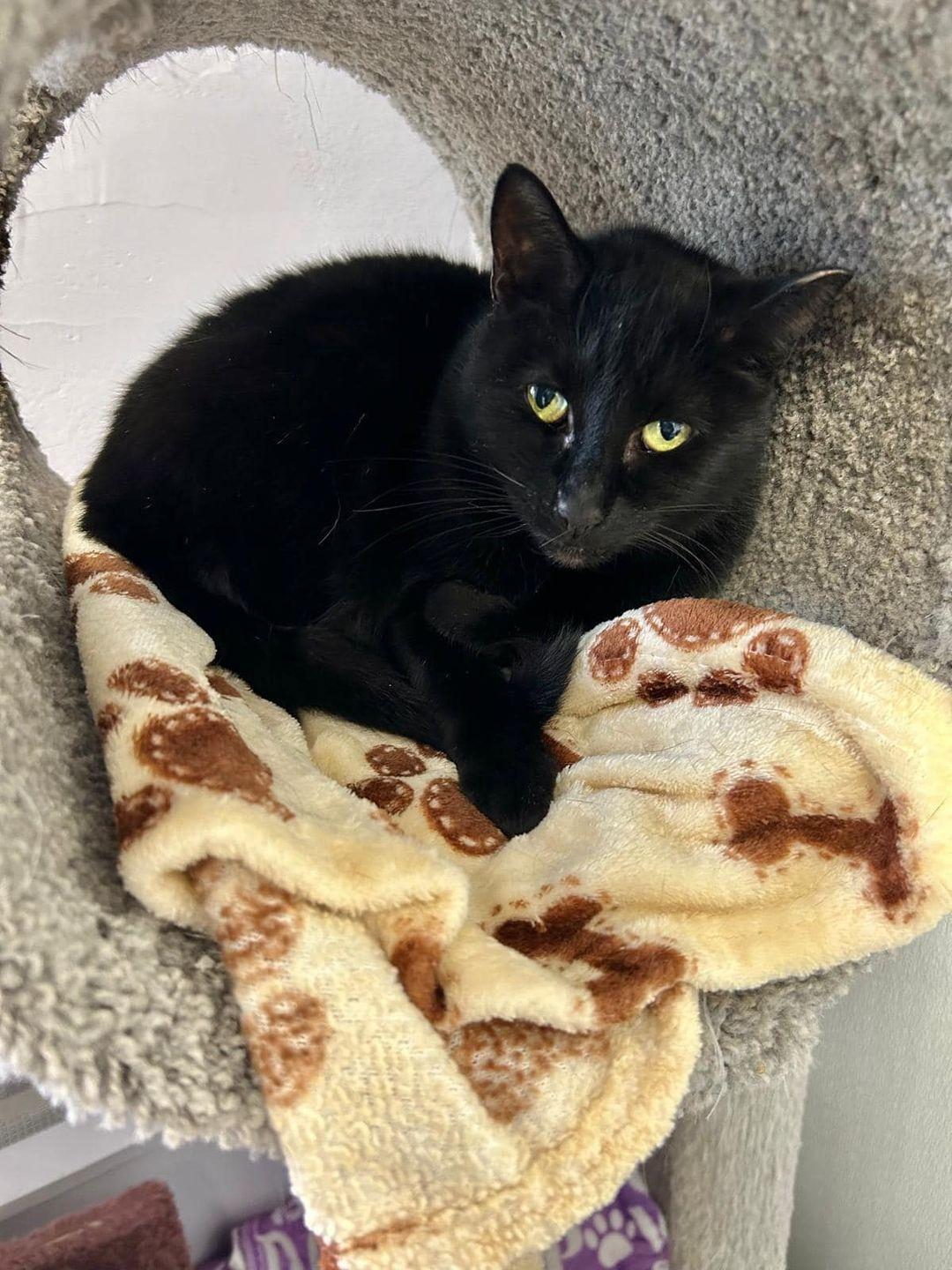 B.B. — thumbnail 2